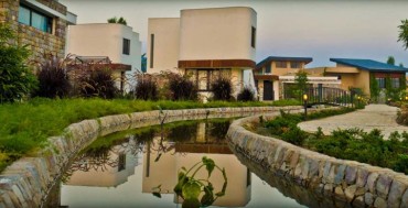 The Golden Tusk Image