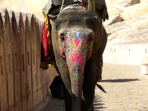 Luxury Hotel Oberoi Rajvilas in Jaipur India Image