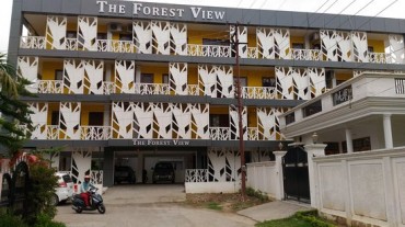 The Forest View Hotel Image