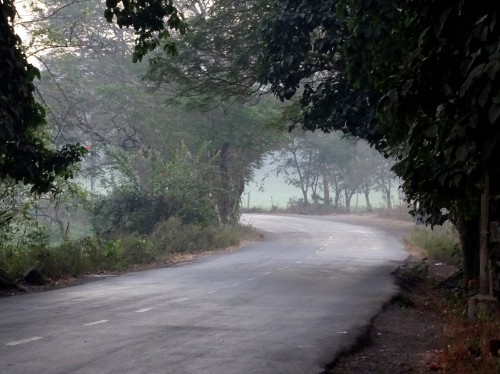 Aarey Milk Colonie - Le lieu le plus hanté de Mumbai