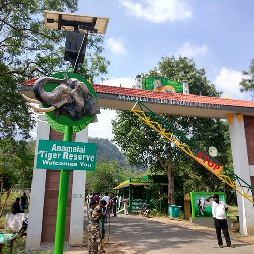 Anamalai Tigerreservat Tamil Nadu