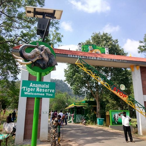 Reserva de tigres de Anamalai y santuario de vida silvestre Coimbatore