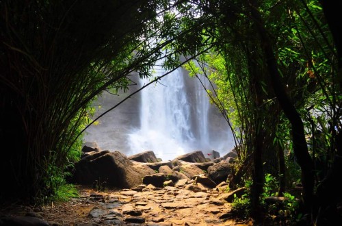 Athirappilly Waterfall