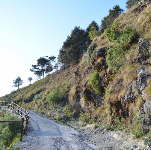 Benog Wildlife Sanctuary Mussoorie - Heaven for Birdwatchers