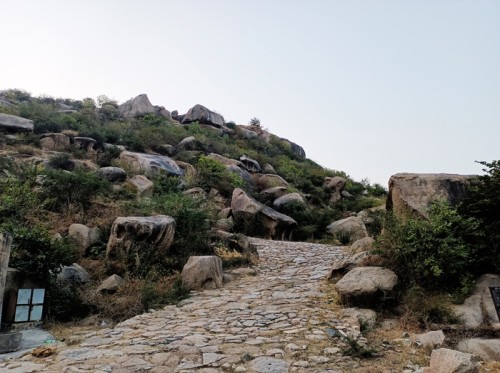 Bijak Ki Pahari - Ruines de monastères bouddhistes datant de l'âge d'or de l'histoire.