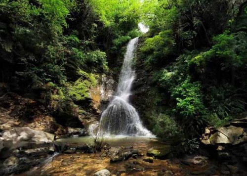 Cascada de Pali: Cascada sagrada y serena del norte de Goa.