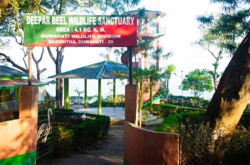 Deepar Beel Wildlife Sanctuary - Largest Perennial Freshwater Lakes of Guwahati.