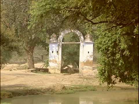 Kadamb Kund