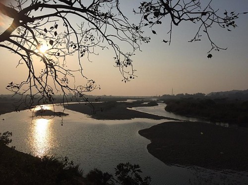 Ropar Wetlands