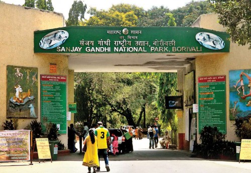 Sanjay Gandhi Nationalpark - Lungen von Mumbai