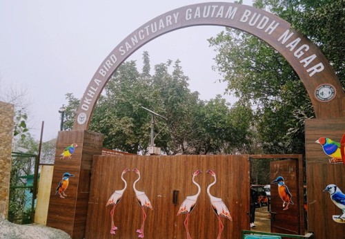 Santuario de aves de Okhla: refugio para aves acuáticas.