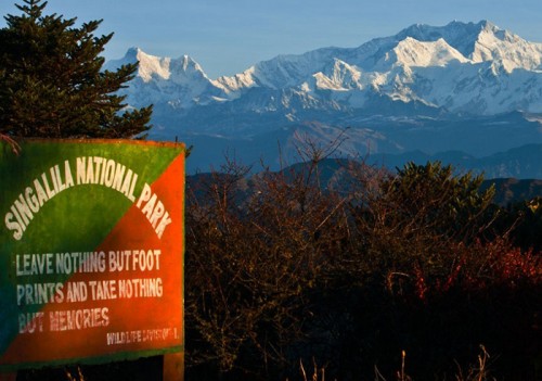 Parc national de Singalila - Sentiers de randonnée populaires à Darjeeling