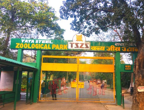 Tata Steel Zoologischer Park – Ein ungepflegter Zoo, in dem Wildtiere leben.
