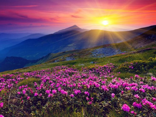 Valley of Flowers National Park - Most Famous Treks, Hikes and Nature Walks in Uttarakhand.