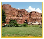 Agra Fort Image