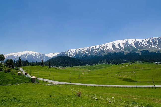 Gulmarg Biosphere Reserve
