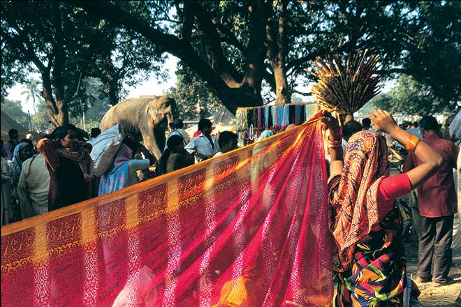 Harihar Kshetra Sonepur Mela