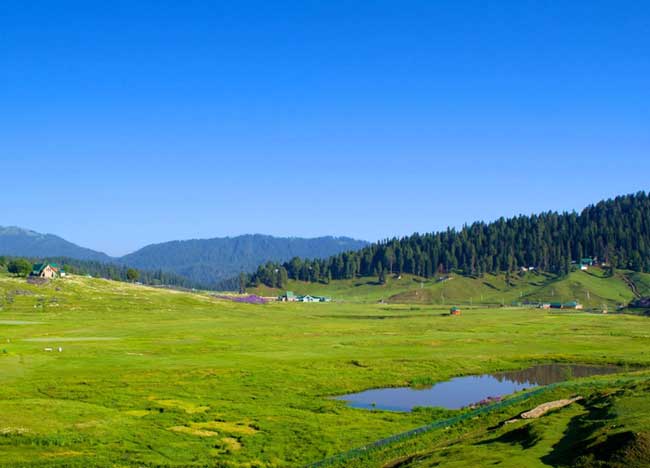 Natural Beauty of Gulmarg