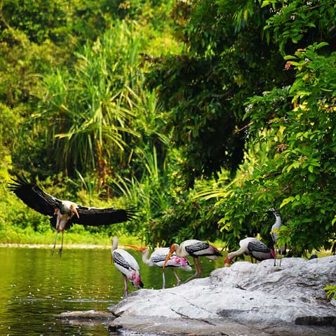Netravali Wildlife Sanctury
