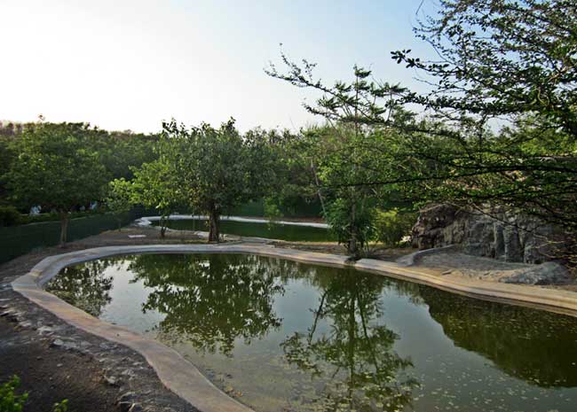 Rajkot Zoological Park